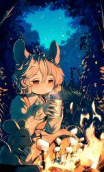 nazrin from touhou