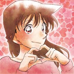 mouri ran from meitantei conan