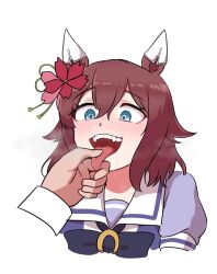 sakura chiyono o (umamusume) from umamusume