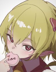 flandre scarlet from touhou