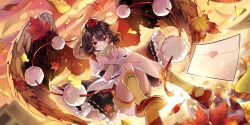 shameimaru aya from touhou