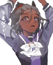 umamusume fan art