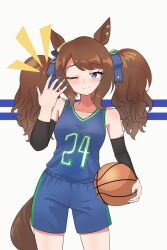 tosen jordan (umamusume) from dallas mavericks