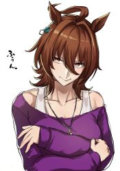 agnes tachyon (umamusume) from umamusume
