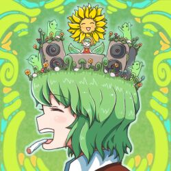 kazami yuuka from touhou