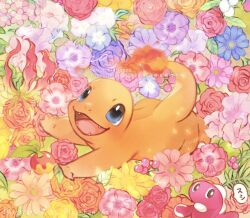charmander from pokemon