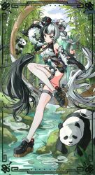 dialyn (zenless zone zero) from zenless zone zero