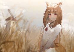 holo from spice and wolf