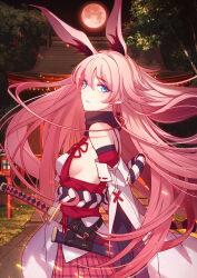 yae sakura from honkai (series) by sougishi ego