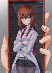 makise kurisu from science adventure by rasen manga