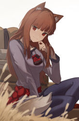 holo from spice and wolf by dotr art