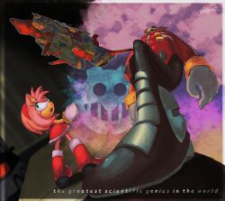 amy rose from sonic (series)