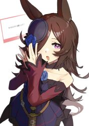 rice shower (umamusume) from umamusume by tetra (ktet4 illu)