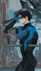 nightwing from batman (series)
