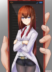 makise kurisu from science adventure by rasen manga
