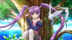 sophie (tales) from tales of (series)