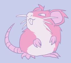 raticate from pokemon