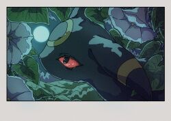 umbreon from pokemon by onamuzi illust