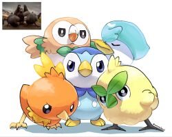 browt from pokemon by serialboel