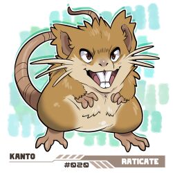 raticate from pokemon