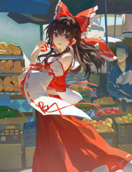 hakurei reimu from touhou
