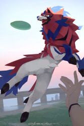 zamazenta from pokemon by olyester