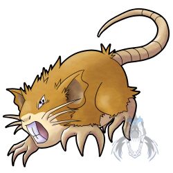 raticate from pokemon