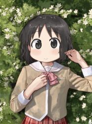 shinonome nano from nichijou