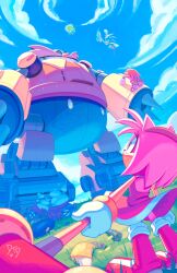 amy rose from sonic (series)