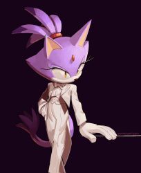 blaze the cat from sonic (series)