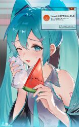 hatsune miku from vocaloid