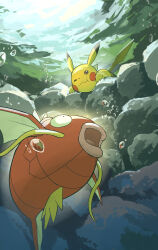 magikarp from pokemon