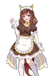 buena vista (umamusume) from umamusume