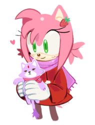 amy rose from sonic (series)