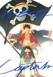 monkey d. luffy from one piece