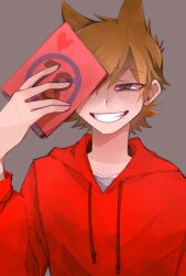tord (eddsworld) from eddsworld