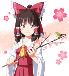 hakurei reimu from touhou by inuno rakugaki