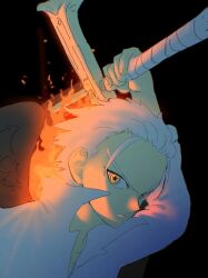 one piece fan art