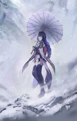 raiden shogun from genshin impact