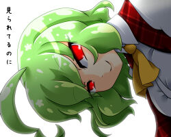 kazami yuuka from touhou