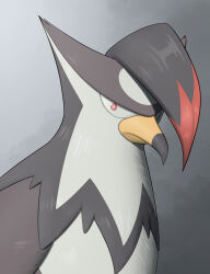 staraptor from pokemon