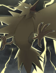 zapdos from pokemon