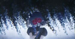 ninomae ina'nis from hololive