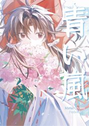 hakurei reimu from touhou