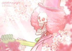 brook (one piece) from one piece