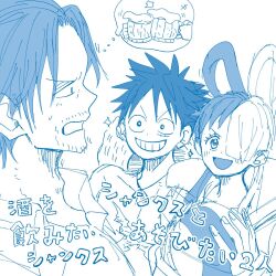 monkey d. luffy from one piece by shibainu (pom pomta)