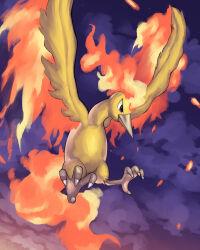 moltres from pokemon