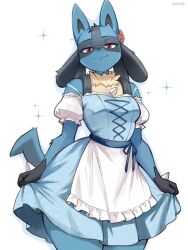 lucario from pokemon
