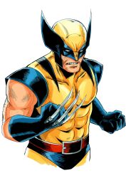 wolverine (x-men) from marvel