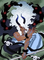 imu (one piece) from one piece